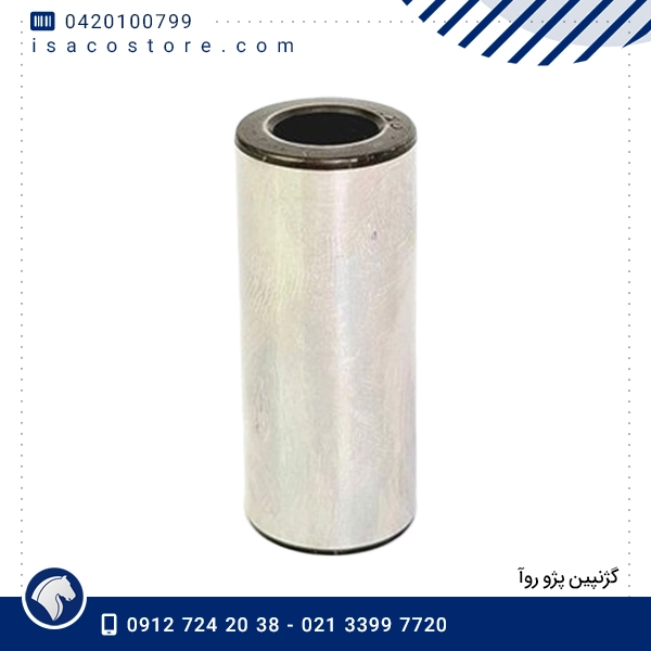 گژنپین پژو روا 