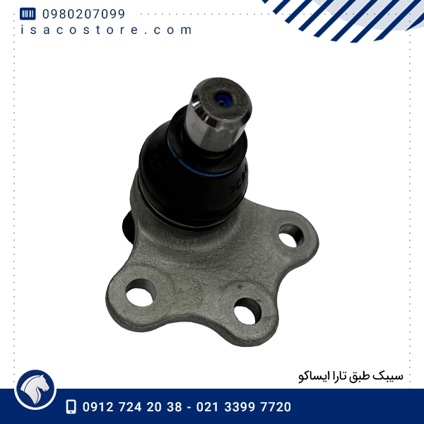 سیبک طبق تارا ایساکو